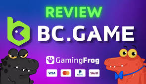 Understanding the Future of Gaming with BC.CO